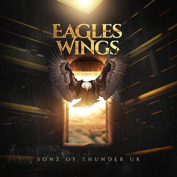 Cover art for Eagles Wings